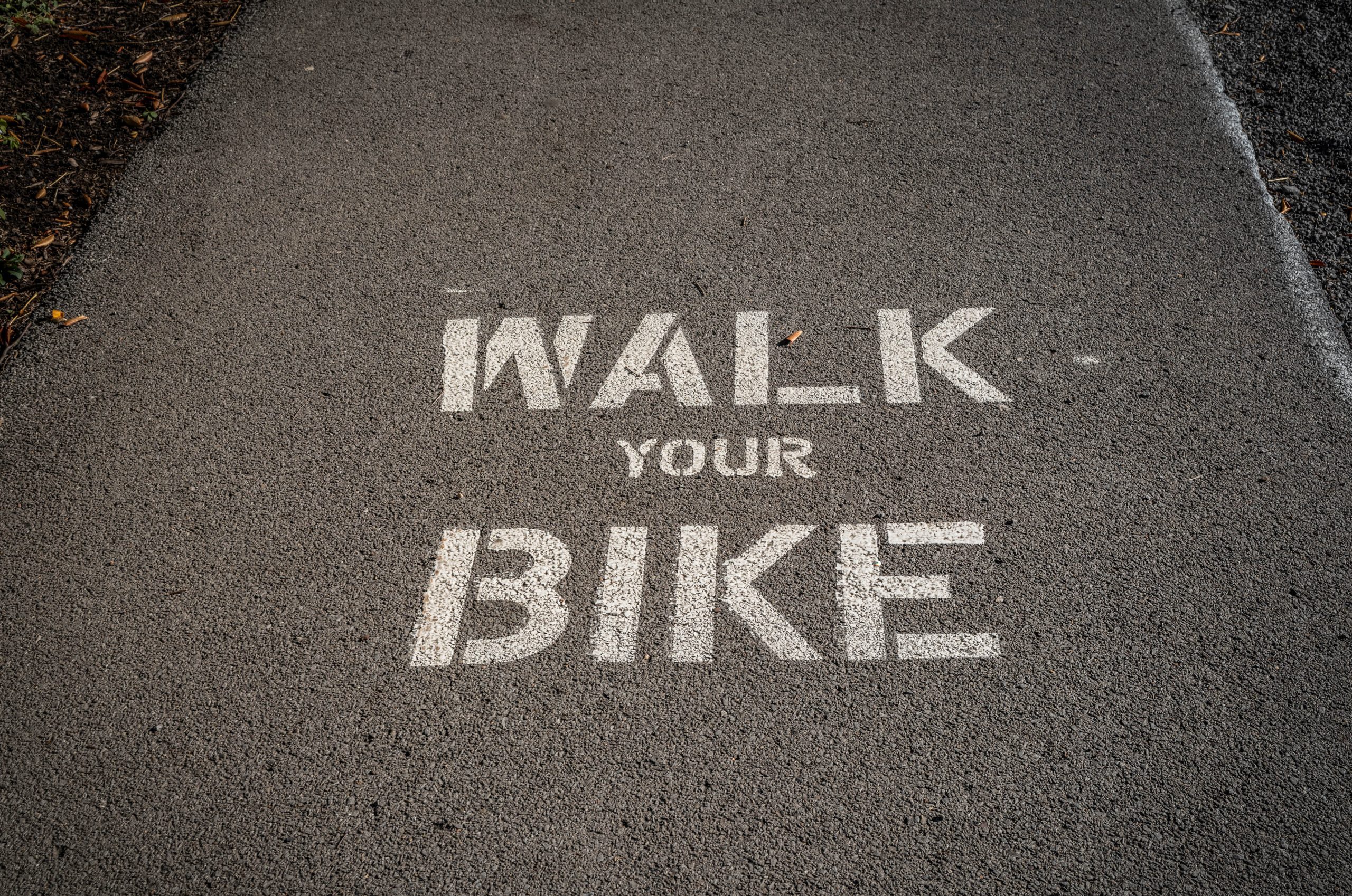 The pathway along the Erie Canal in Pittsford is marked in designated stretches for walkers only.