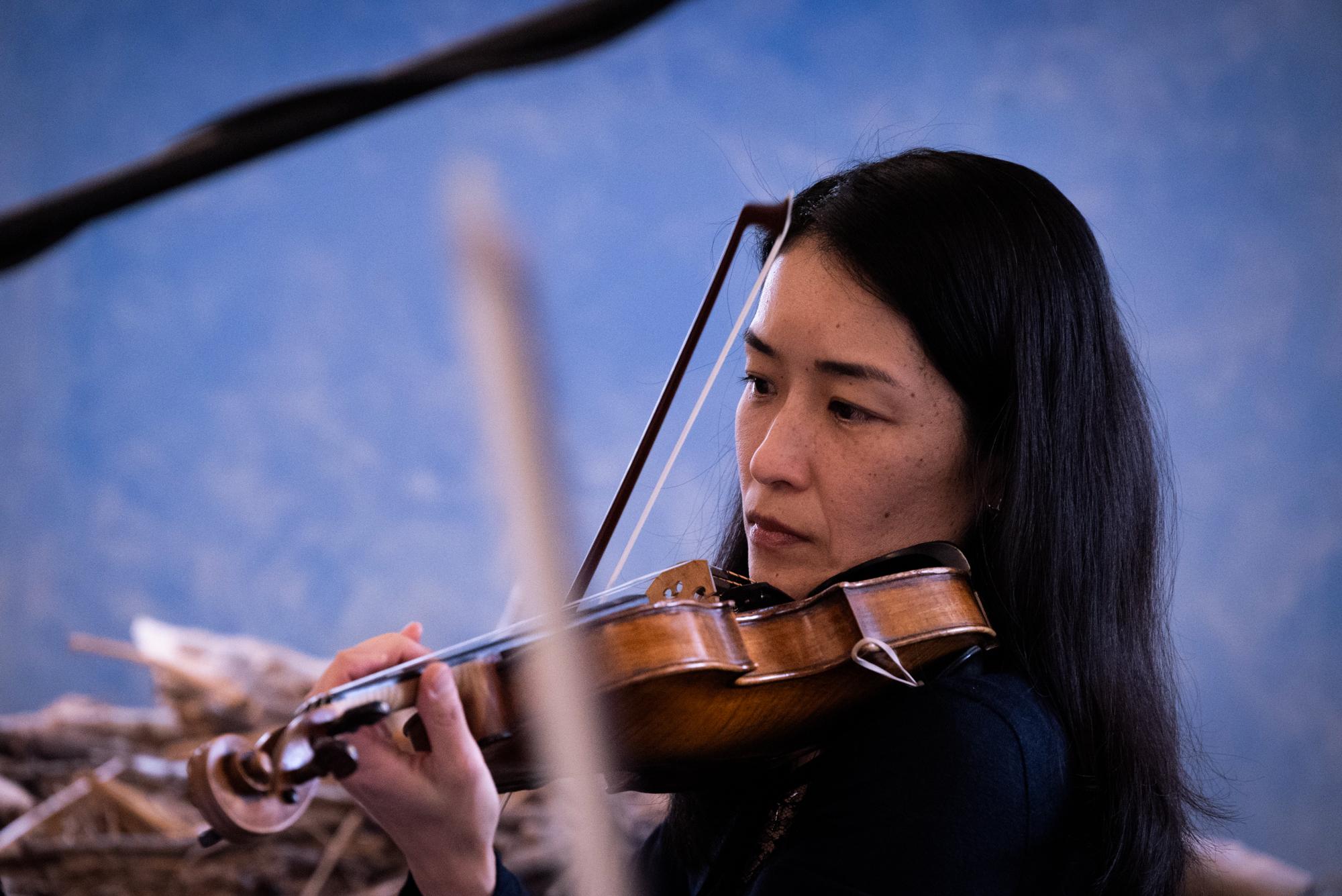 The performance of 