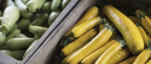 An organic farm stand. Boxes of yellow and green courgettes.